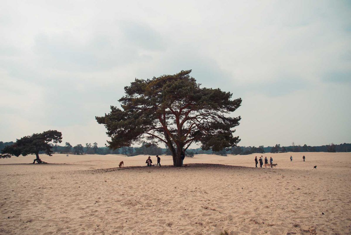 Top 5 losloopgebieden Utrecht welkoop